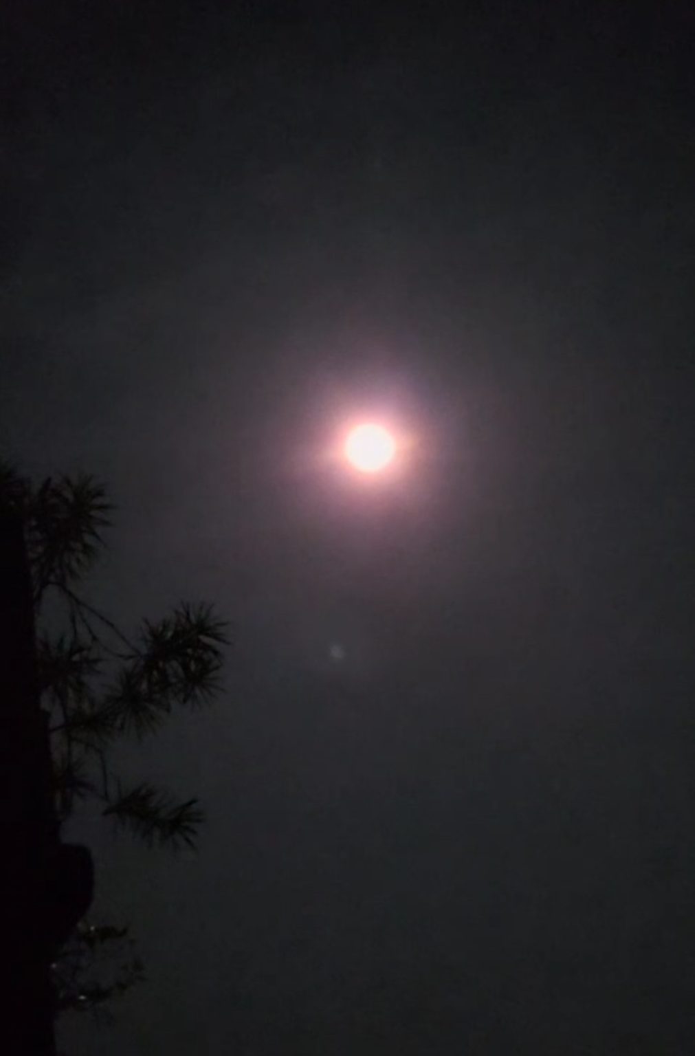 Blood Moon
