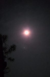 Blood Moon