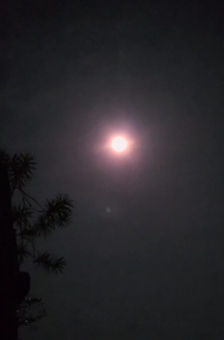 Blood Moon
