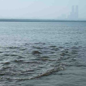 Flood
