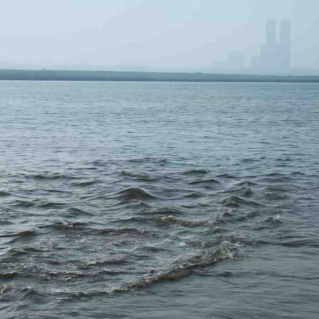Flood